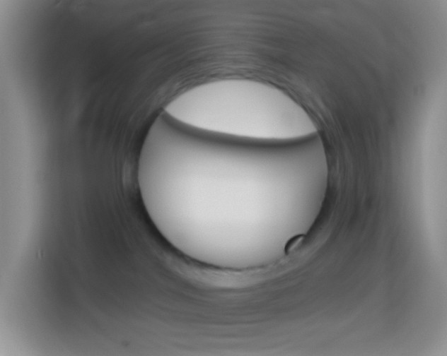 X0000114070044200910051024