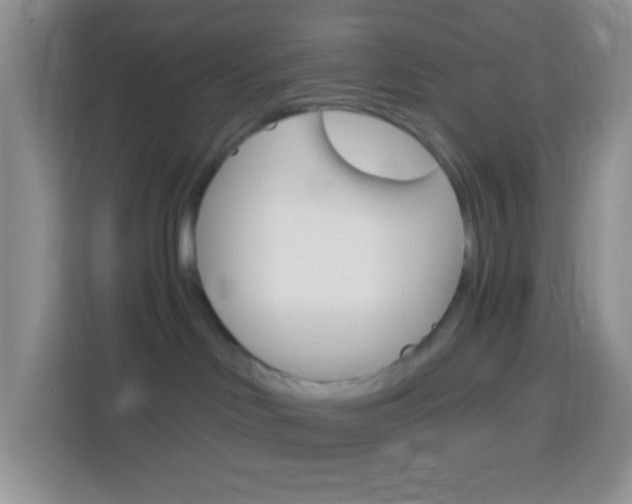 X0000114070046200910051024