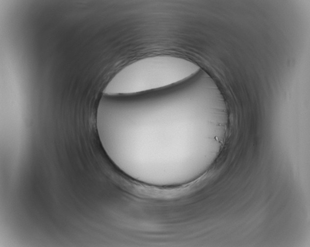 X0000114070048200910051024