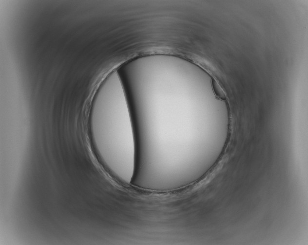 X0000114070049200910051024