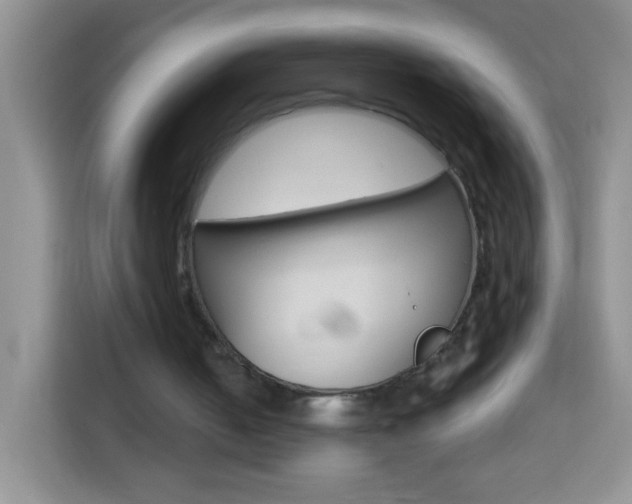 X0000114070050200910051024