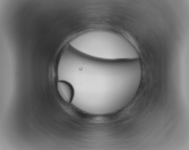 X0000114070059200910051024