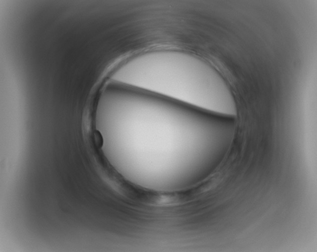X0000114070060200910051024