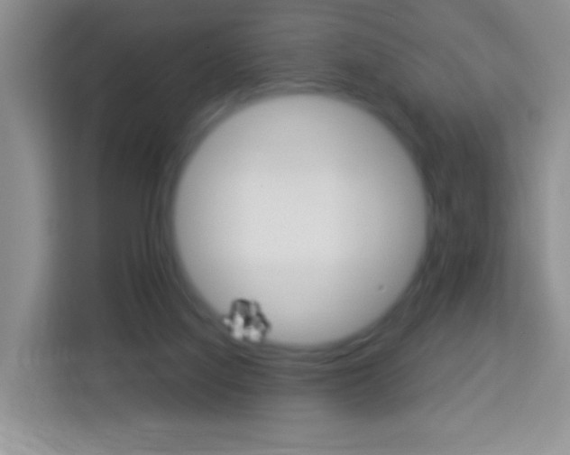 X0000114070068200910051024