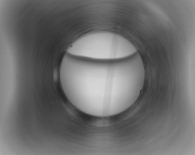 X0000114070075200910051024