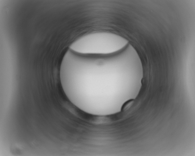 X0000114070087200910051024