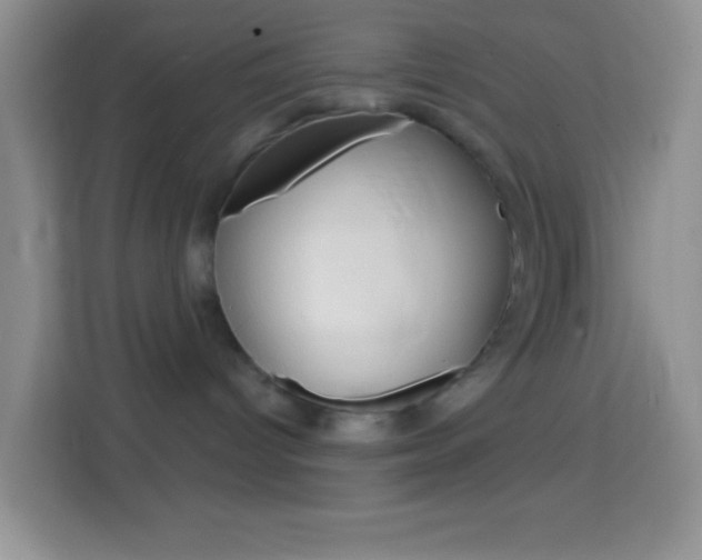 X0000114070096200910051024