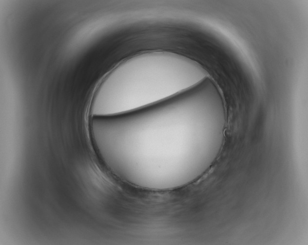 X0000114070099200910051024