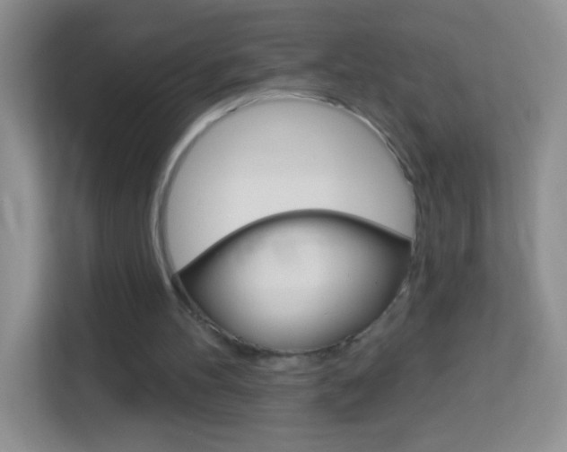 X0000114070100200910051024