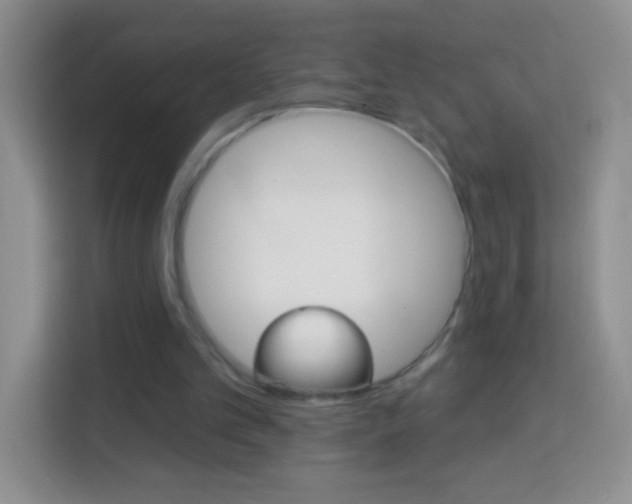 X0000114070101200910051024