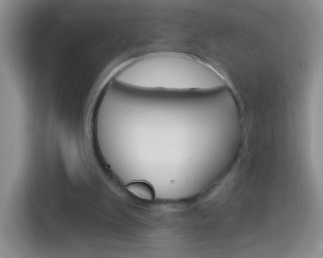 X0000114070103200910051024