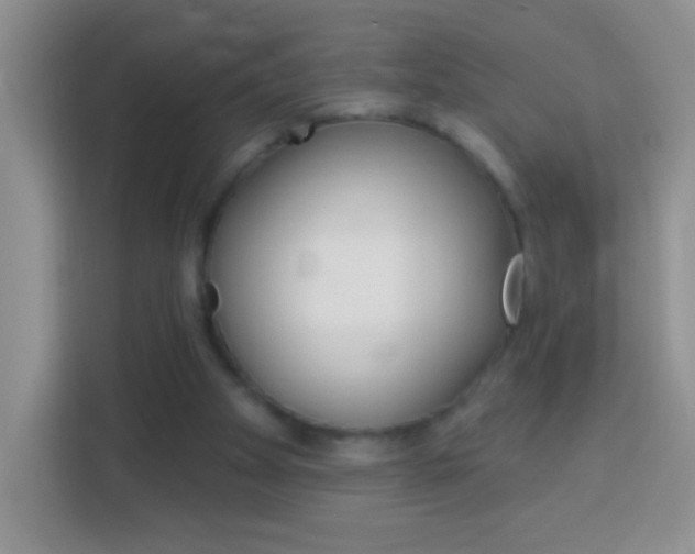 X0000114070105200910051024