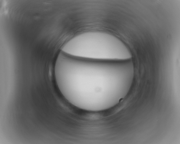 X0000114070115200910051023