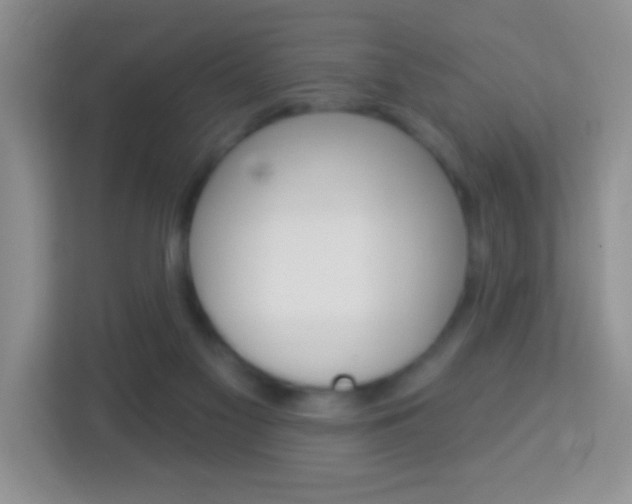 X0000114070117200910051023