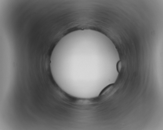X0000114070133200910051023