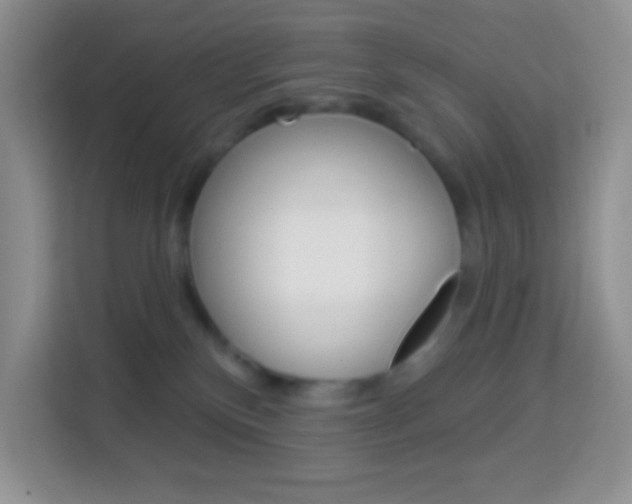 X0000114070136200910051023