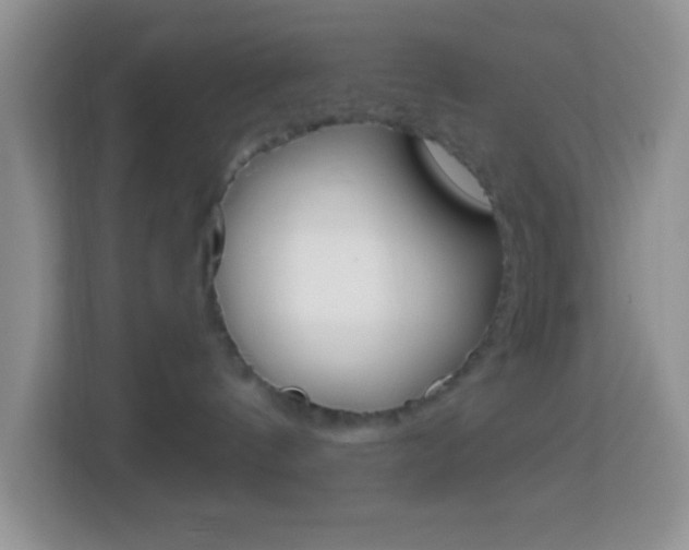 X0000114070144200910051023