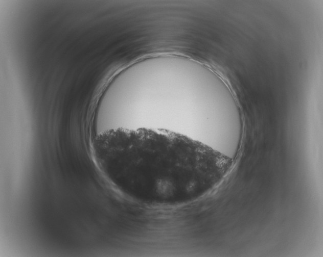 X0000114070145200910051022