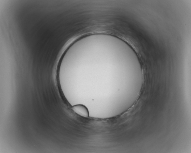 X0000114070147200910051022