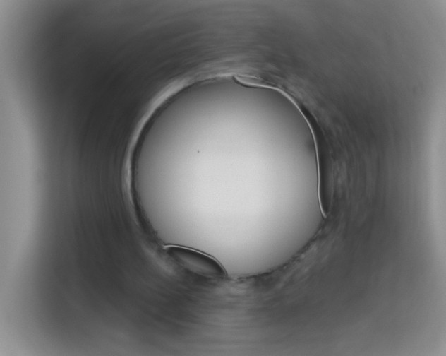 X0000114070148200910051022