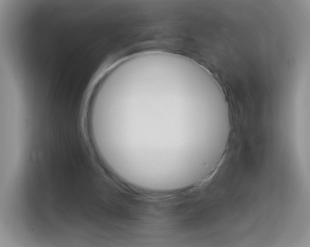 X0000114070150200910051022