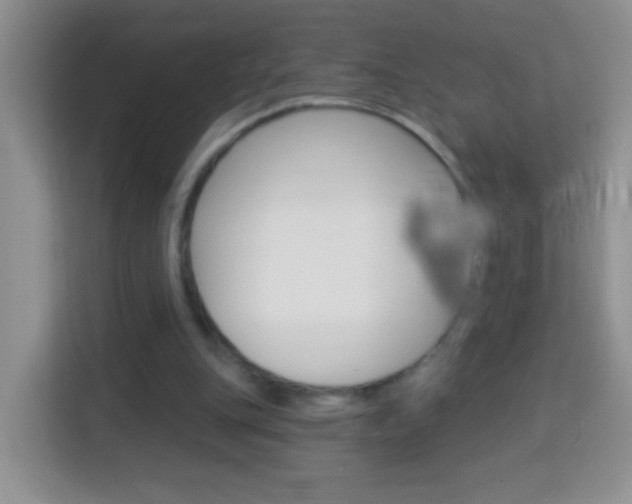 X0000114070151200910051022