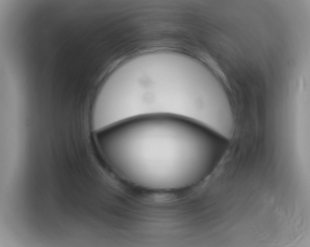 X0000114070154200910051023