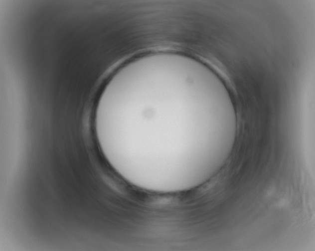 X0000114070155200910051023