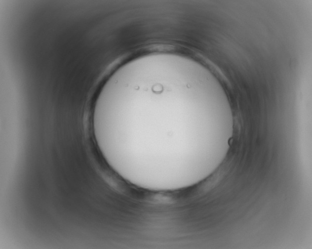 X0000114070159200910051023
