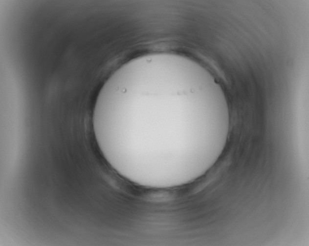 X0000114070161200910051023