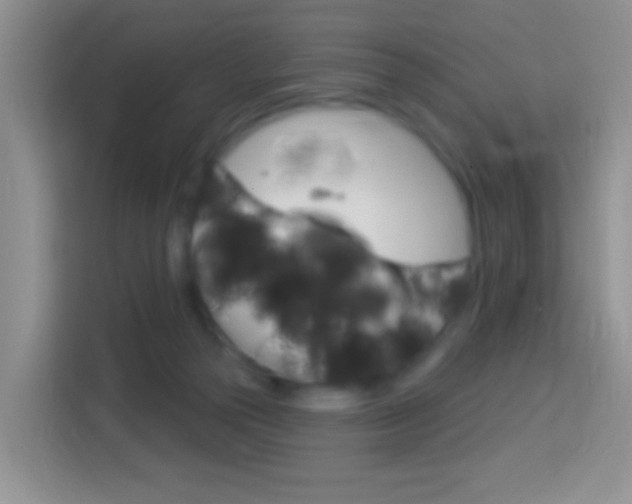 X0000114070169200910051023