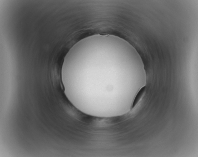 X0000114070186200910051023