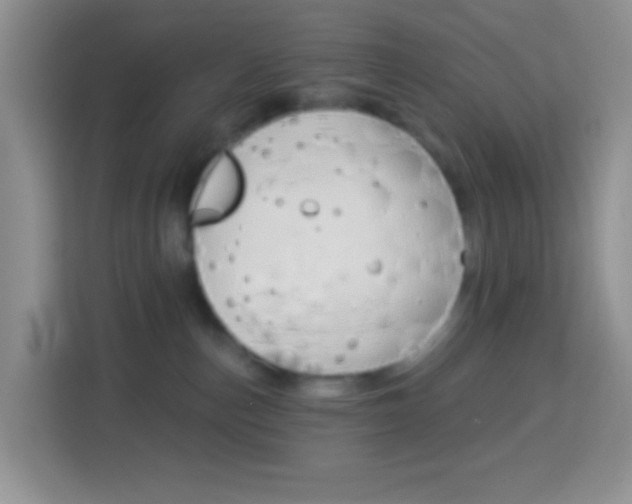 X0000114070187200910051023