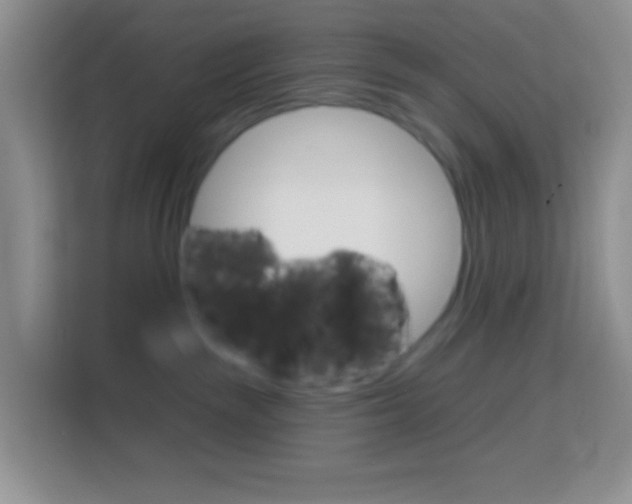 X0000114070189200910051023