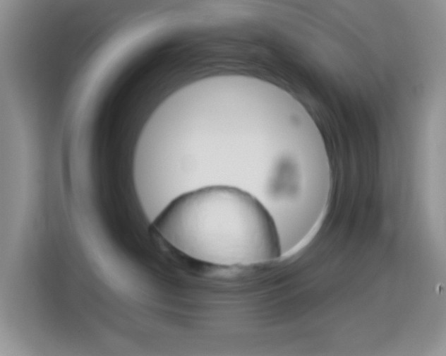 X0000114070190200910051023