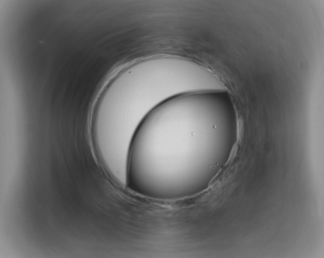 X0000114070195200910051022