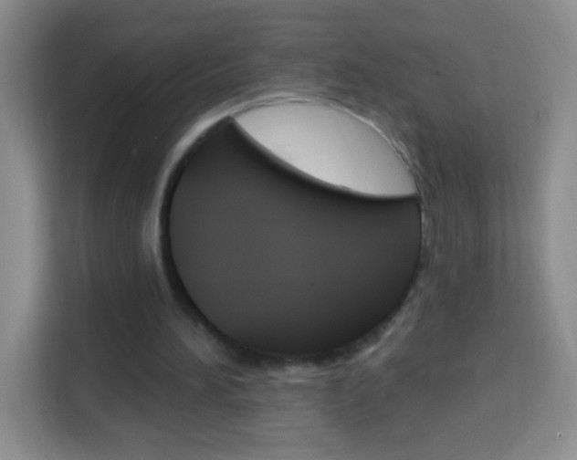 X0000114070196200910051022