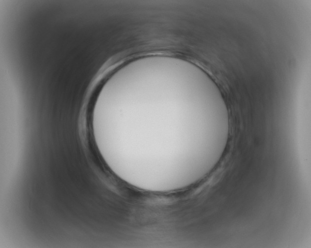 X0000114070198200910051022