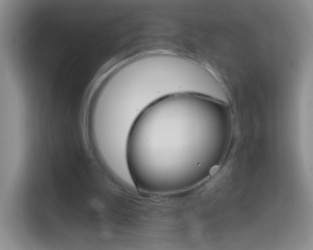 X0000114070199200910051022