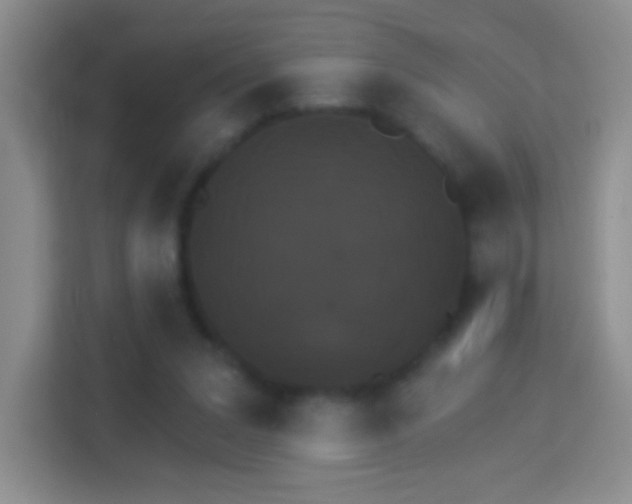 X0000114070207200910051022