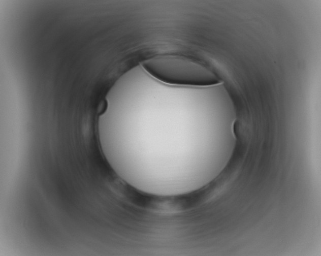 X0000114070221200910051022