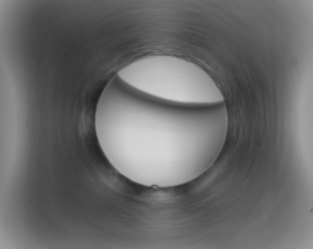 X0000114070236200910051022