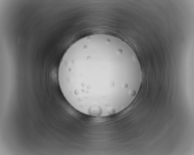 X0000114070238200910051022
