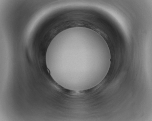 X0000114070239200910051022