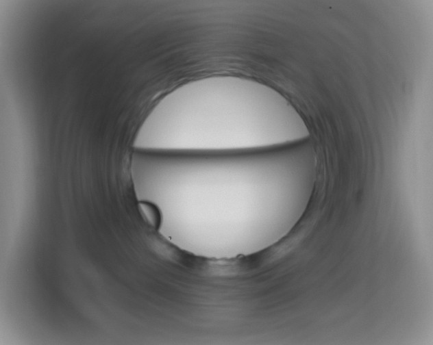 X0000114070240200910051022