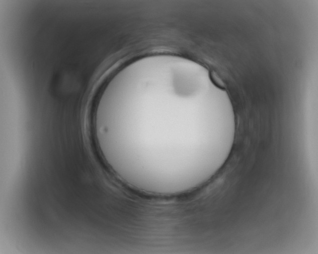 X0000114070247200910051021
