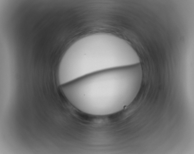 X0000114070274200910051022