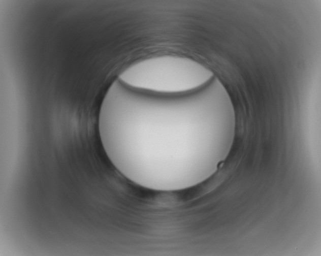 X0000114070279200910051022