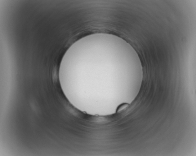 X0000114070287200910051022