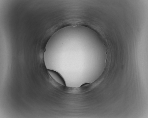 X0000114070288200910051022
